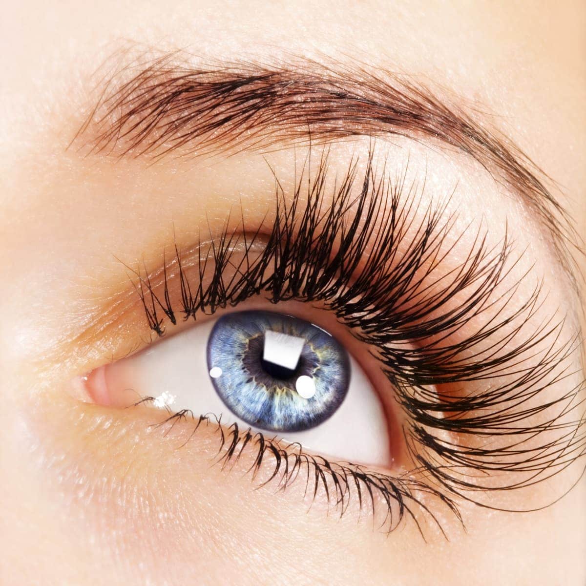 Eyelash Growth Treatment Marina Bay Quincy MA